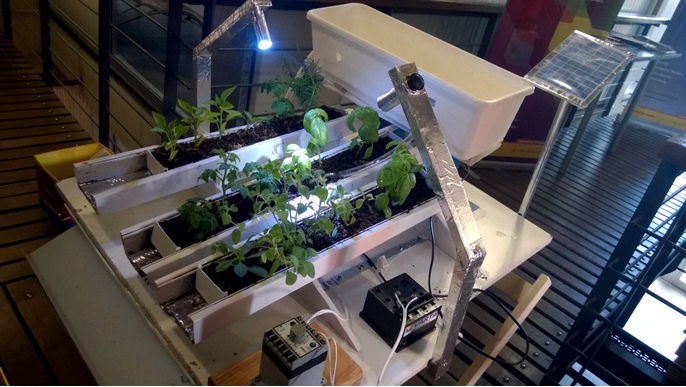 Huertas Hidropónicas Urbanas - Ideame