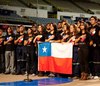 Chilean Heart - Robotics