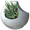 PROYECTO ECOVECO