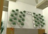 PROYECTO ECOVECO