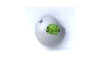 PROYECTO ECOVECO