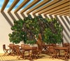PROYECTO ECOVECO