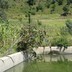 The-winrock-team-in-ethiopia-multiple-use-water-services-in-multiple-settings-7