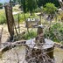 The-winrock-team-in-ethiopia-multiple-use-water-services-in-multiple-settings-8