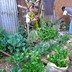 The-winrock-team-in-ethiopia-multiple-use-water-services-in-multiple-settings-12