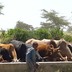 The-winrock-team-in-ethiopia-multiple-use-water-services-in-multiple-settings-13