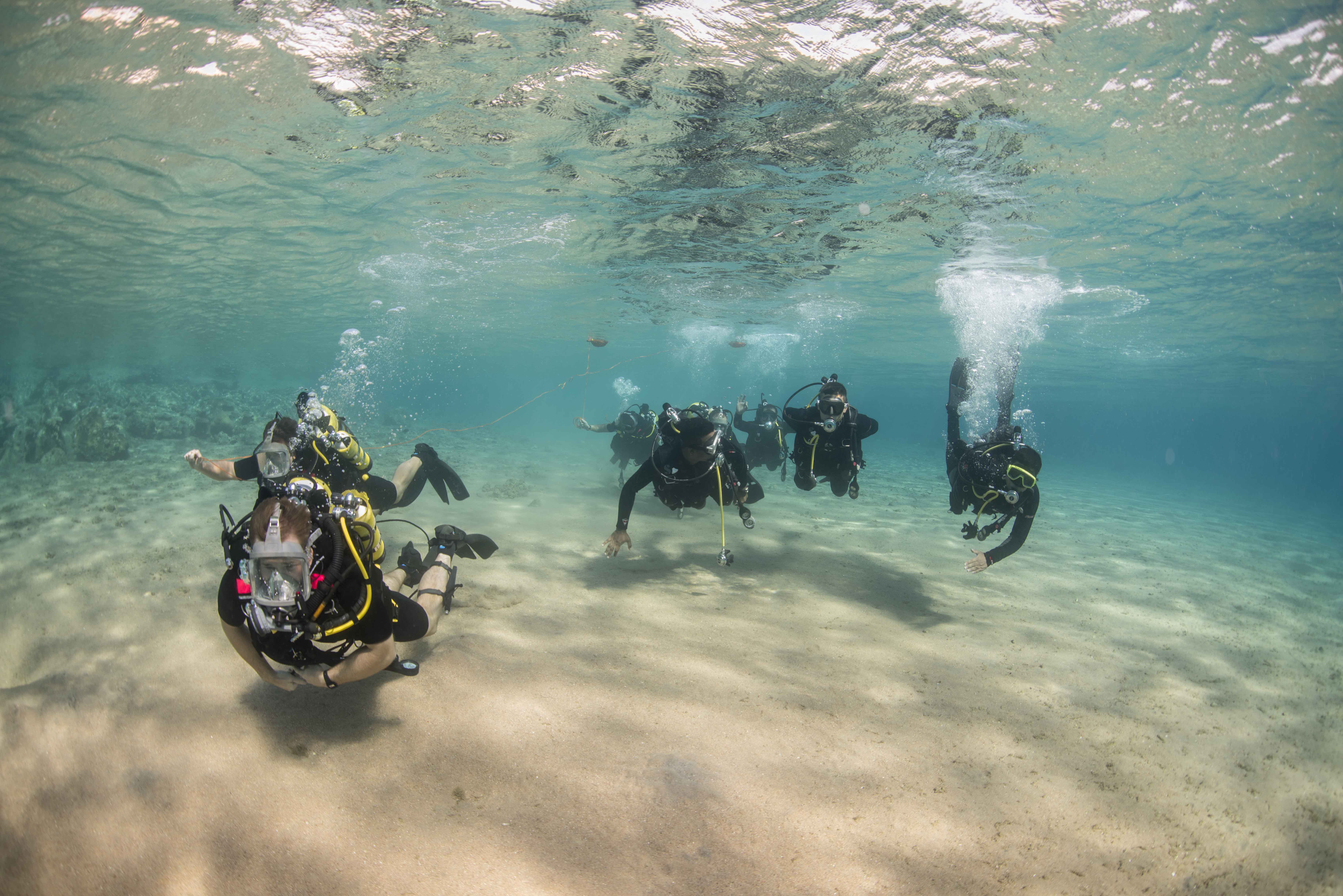 GULF OF AQABA (Oct. 29, 2014) Clearance divers from Fleet Diving Unit 3, assigned to Task Group 523.3, and divers from the Royal Naval Force of Jordan, conduct a search dive while participating in International Mine Countermeasures Exercise (IMCMEX). IMCMEX includes navies from 44 countries whose focus is to promote regional security through mine countermeasure operations in the U.S. 5th Fleet area of responsibility. (U.S. Navy photo by Mass Communication Specialist 3rd Class Daniel Rolston/Released)