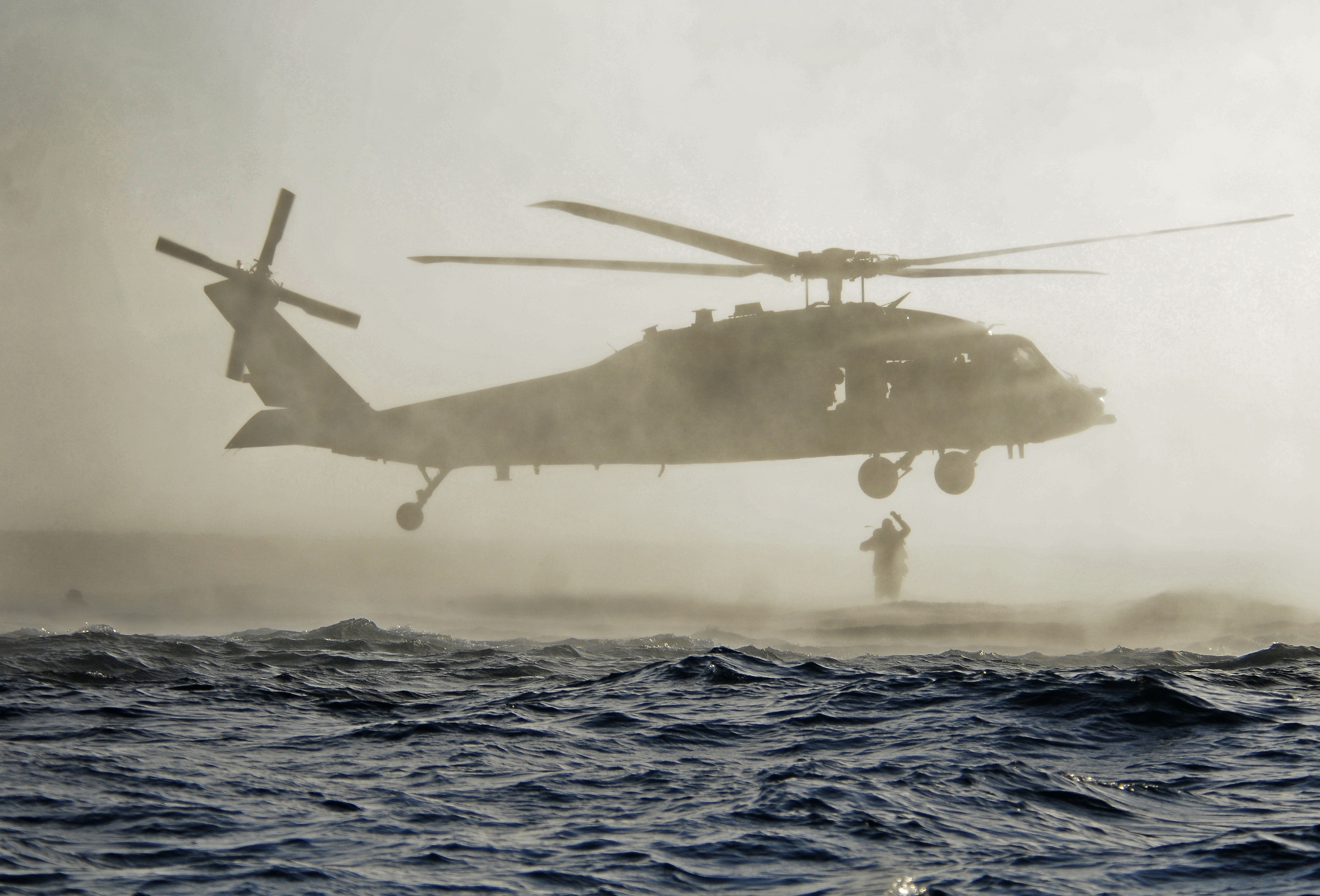 SAN DIEGO (May 2, 2013) U.S. Navy SEALs jump out of an SH-60 Sea Hawk helicopter during a combat diver course. Navy SEALs are the maritime component of U.S. Special Operations Forces and are trained to conduct a variety of operations from the sea, air and land. (U.S. Navy photo by Mass Communication Specialist 1st Class Michael Russell/Released)