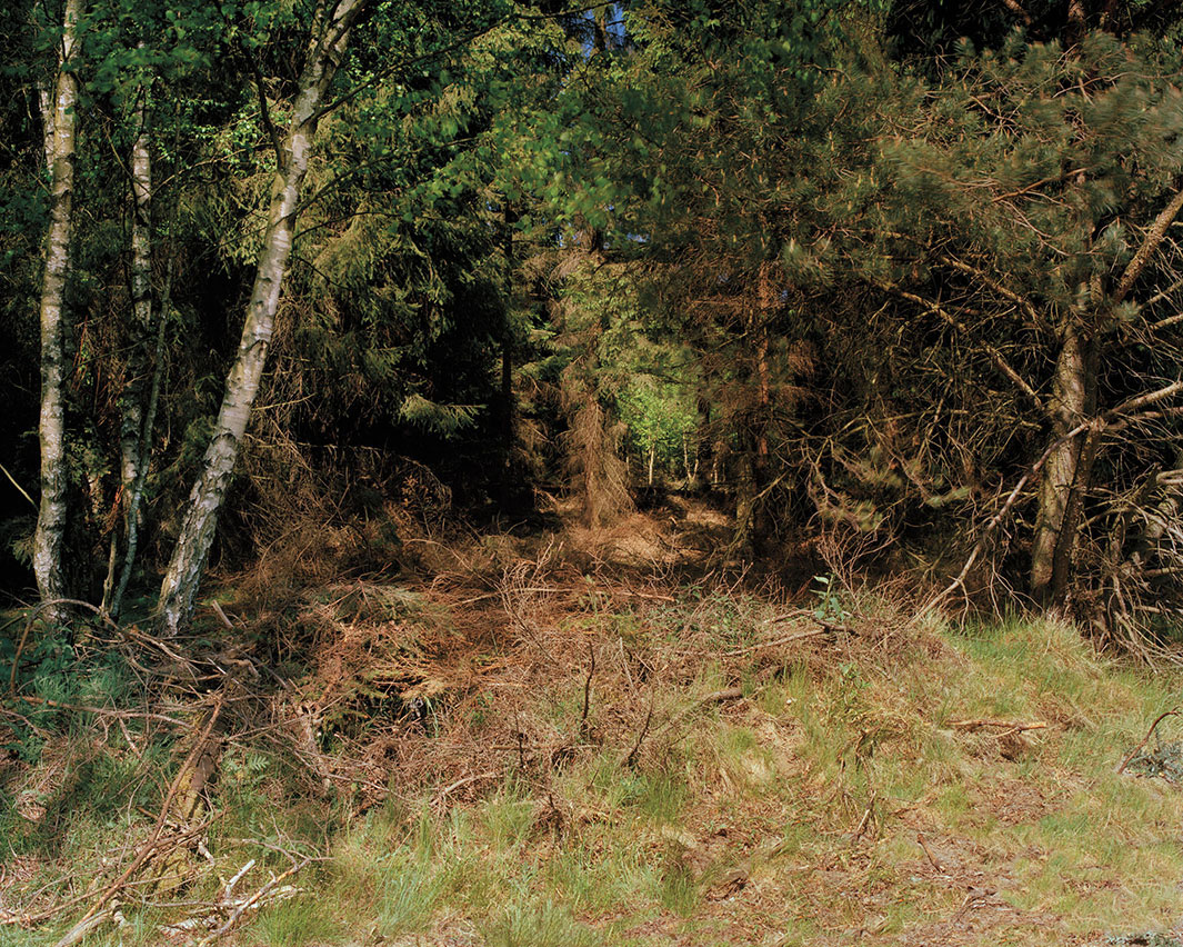 Simon-Menner-sniper-6