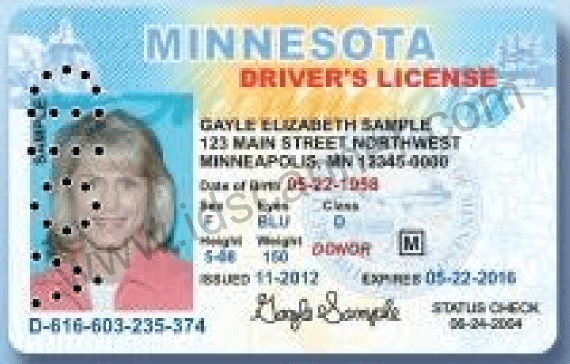 What Does A Hole Punch In Drivers License Mean Reviewsstrongdownload