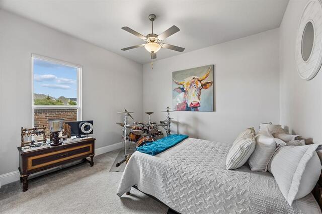 850 Star Meadow, Drive Prosper, TX photo 6