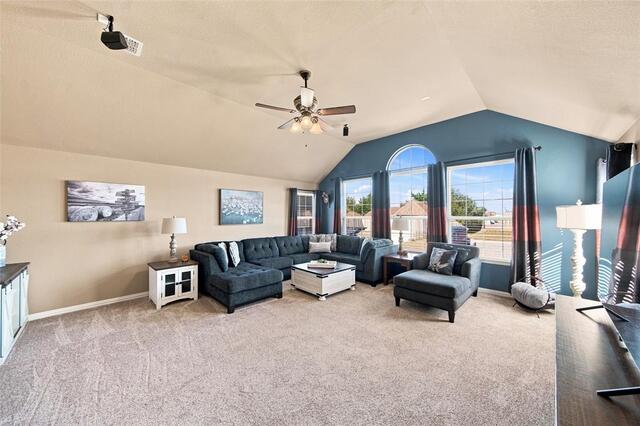 904 Cougar, Drive Allen, TX photo 22