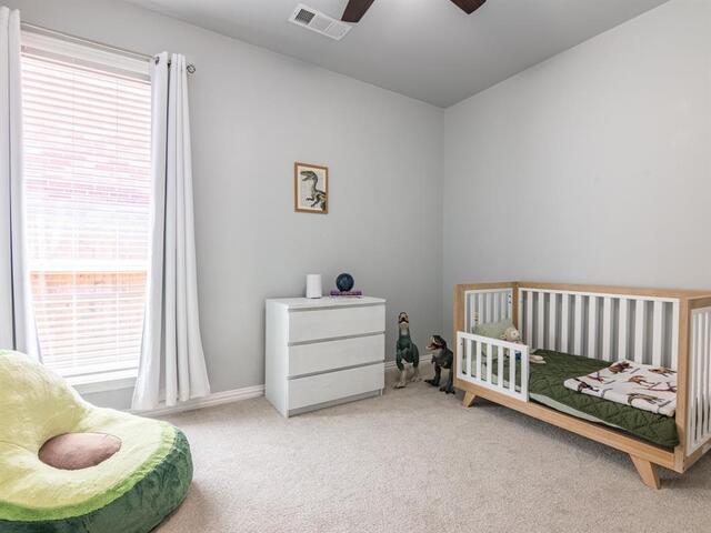 839 Lake Forest Trail, Little Elm, TX photo 16