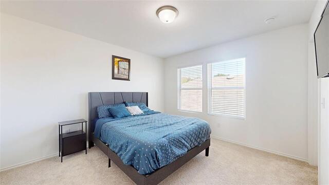2520 Pecan Park, Drive Denton, TX photo 24