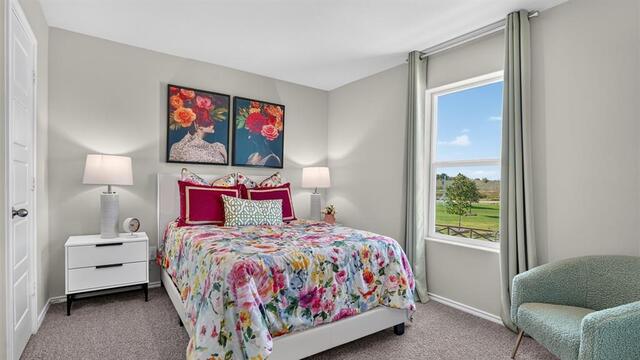 2709 Flowers, Drive Denton, TX photo 23