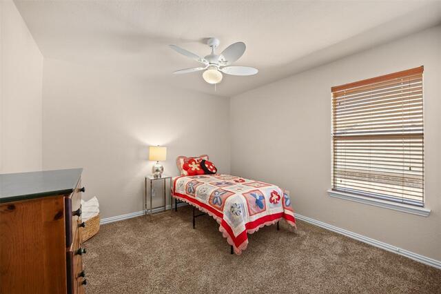 1608 Clear Springs, Drive Allen, TX photo 25