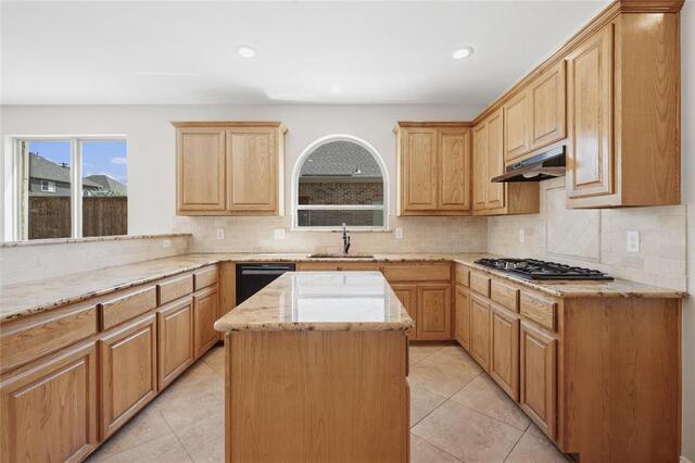 1209 Mesa, Trail Keller, TX photo 14