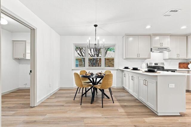 1419 San Antone, Lane Lewisville, TX photo 14