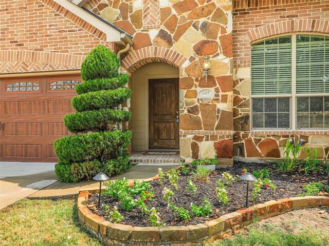 1317 Wheatear Drive, Little Elm, TX photo 4