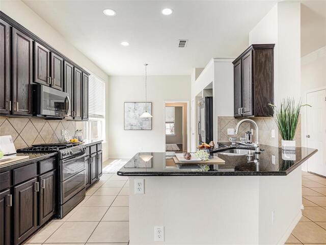1317 Wheatear Drive, Little Elm, TX photo 13