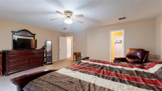 2501 Ash Drive, Little Elm, TX photo 17