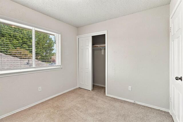 4205 Red Spruce, Lane Carrollton, TX photo 23