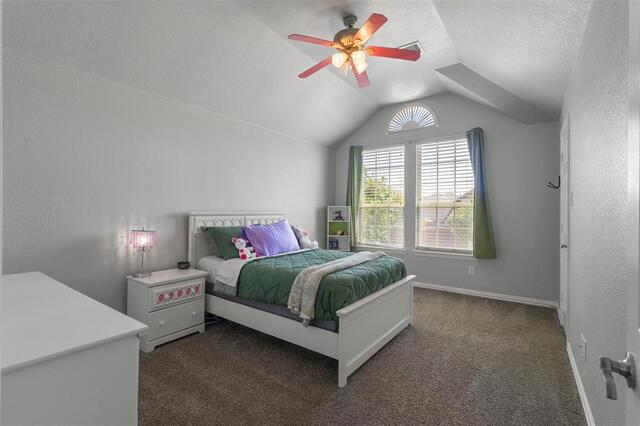 13909 Sparrow Hill Drive, Little Elm, TX photo 26