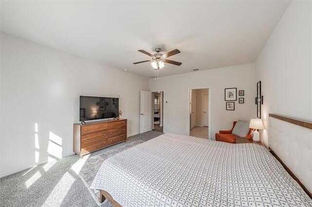 317 Willowmore Drive, Little Elm, TX photo 16