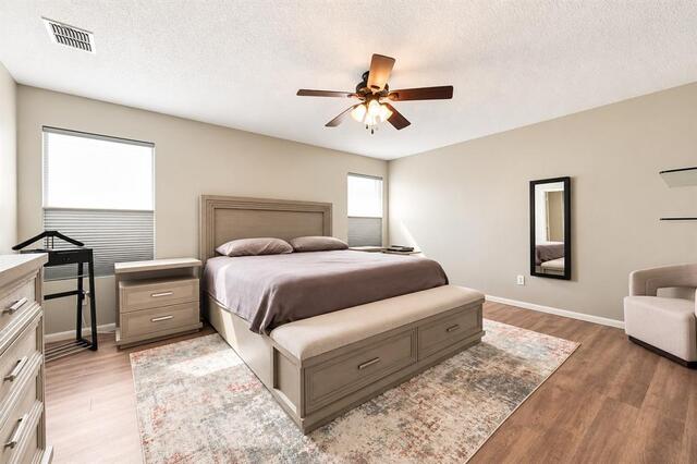 2517 Brinlee Branch, Lane McKinney, TX photo 13