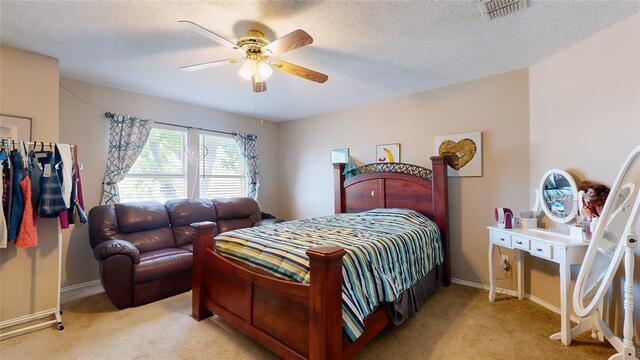 2501 Ash Drive, Little Elm, TX photo 25
