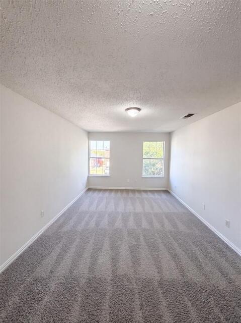 441 Longshore Drive, Little Elm, TX photo 14