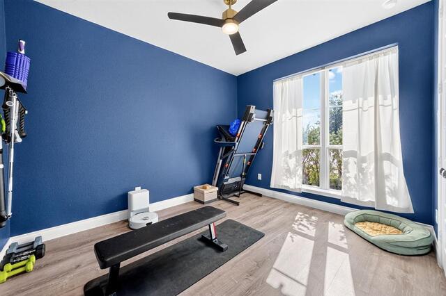 3500 Bristle Cone Drive, Little Elm, TX photo 18