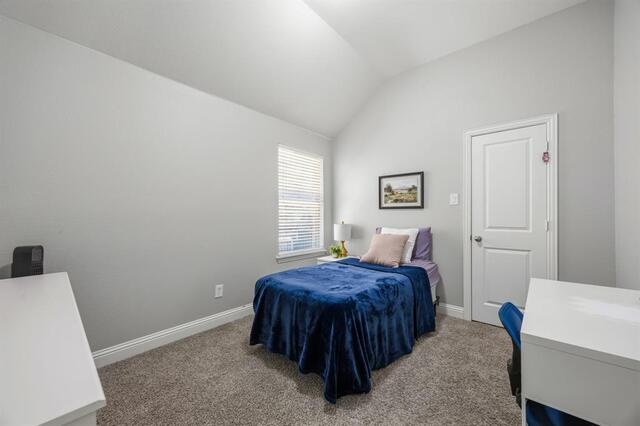 9901 Trinity Drive, Little Elm, TX photo 27
