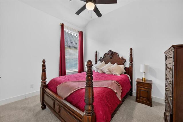 1605 Bird Cherry, Lane Celina, TX photo 27