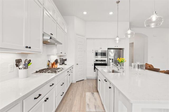 10104 Bitterroot Drive, Little Elm, TX photo 11