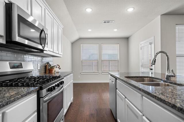 1505 Spoonbill Drive, Little Elm, TX photo 14