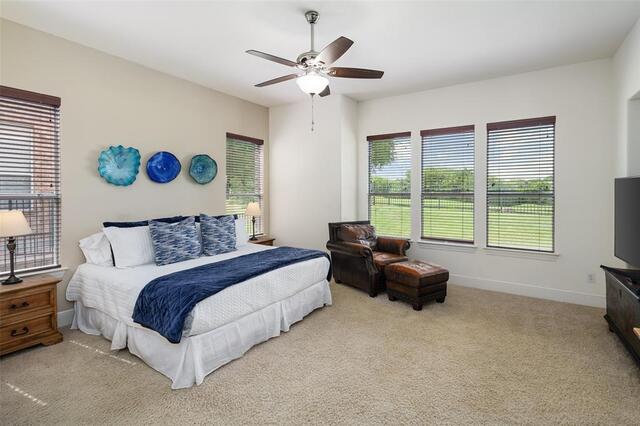 2801 Meadow Ridge, Drive Prosper, TX photo 19