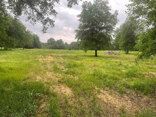 1089 County Road 45800, Blossom