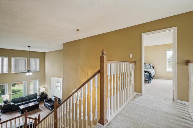 1368 Winnipeg, Drive Lewisville, TX photo 19