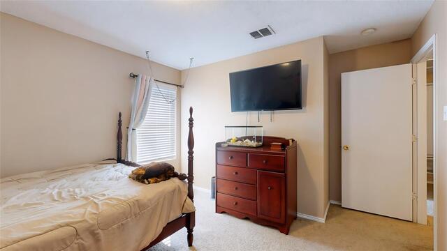 2501 Ash Drive, Little Elm, TX photo 24