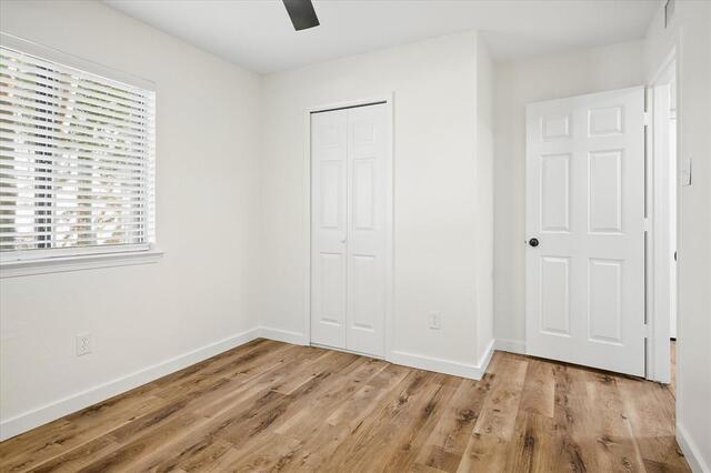 2420 Royal Oaks, Drive Plano, TX photo 16