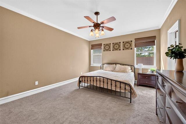 2600 Winterberry Lane, Little Elm, TX photo 23