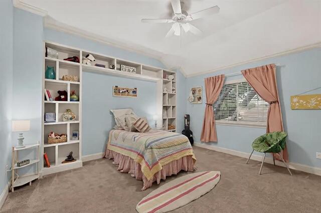 10215 Asheboro, Street Frisco, TX photo 25