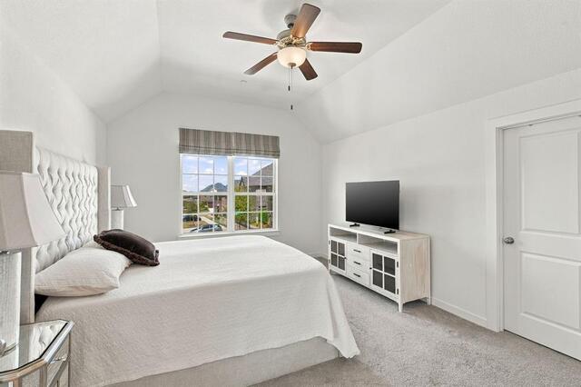 2700 Starburst Drive, Little Elm, TX photo 18