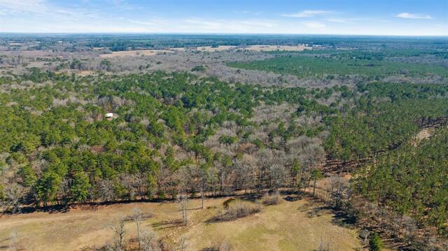 TBD County Road 2237, Bagwell