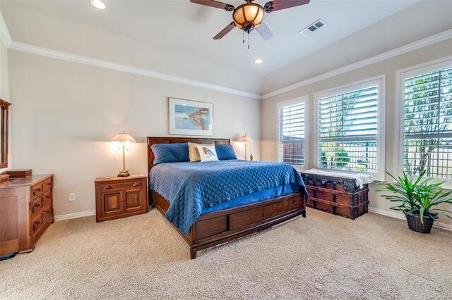 2644 Hannah, Circle Frisco, TX photo 21