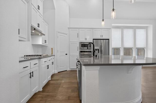 10105 Bitterroot Drive, Little Elm, TX photo 14