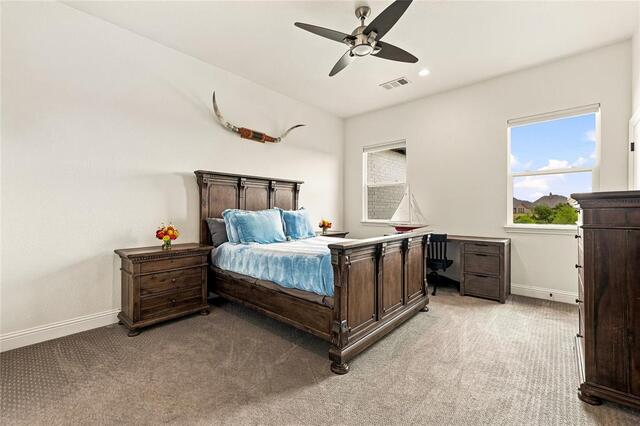 3904 Ephron Avenue, Flower Mound, TX photo 22