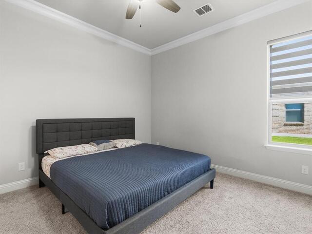 7025 Central Court, Little Elm, TX photo 18
