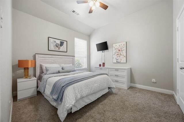 9901 Trinity Drive, Little Elm, TX photo 23